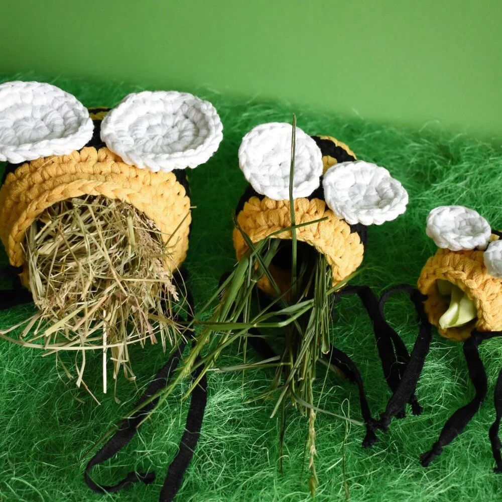 Guinea Pig Cage Accessories: Bee House, Hay Bag & Garland Set